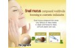 Mitomo Snail+EGF cream